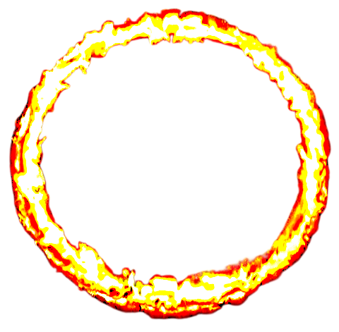 Der Ring